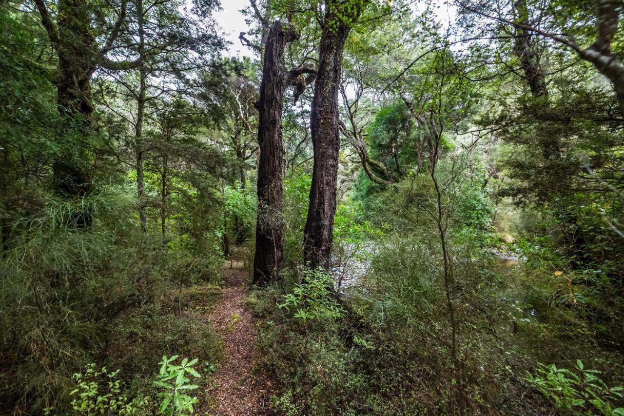 Вилла The Glade Pahautea Экстерьер фото